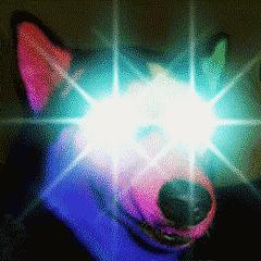 香港尖沙咀夜景2018,火遍魔都的夜店