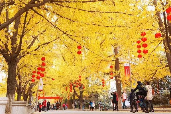 成都干货最全攻略,成都攻略3天吃喝