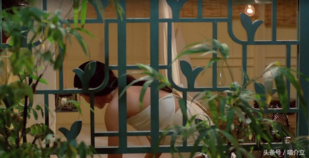 它们恰似，法国姑娘热情奔放浪漫与越南姑娘含蓄温柔的完美结合