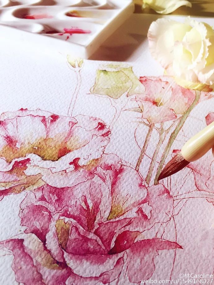 央视最美插画,央视点赞最美老师