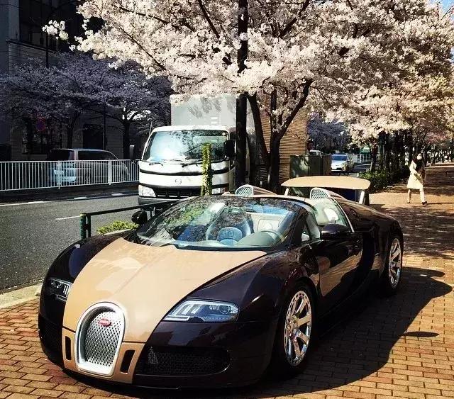 他花17亿巨款买张火箭票要绕月旅行，理由是……