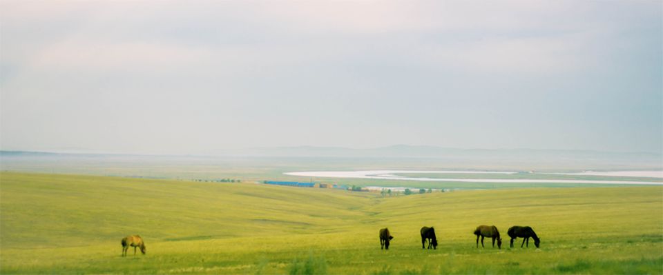 景区厕所测评,差评率最高的旅游景区