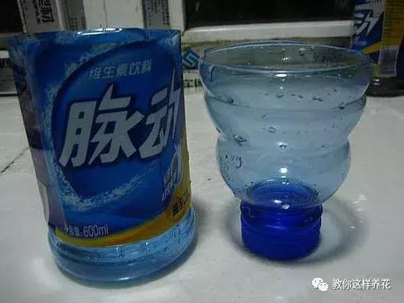 塑料瓶怎么剪可以种花,怎样剪矿泉水瓶种花