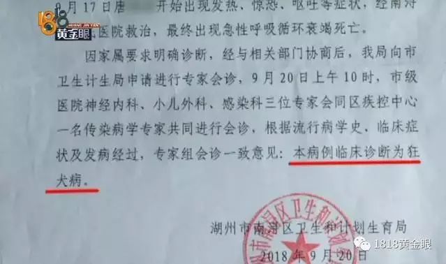 7岁男童被狗咬狂犬病发作死亡,狗咬伤小孩打狂犬疫苗后死亡