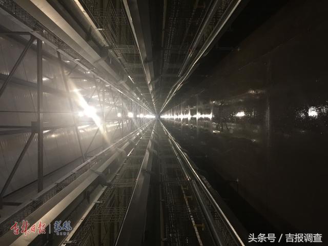 走进“中国食品名城”德惠,就能触摸龙型产业集群的脉动……