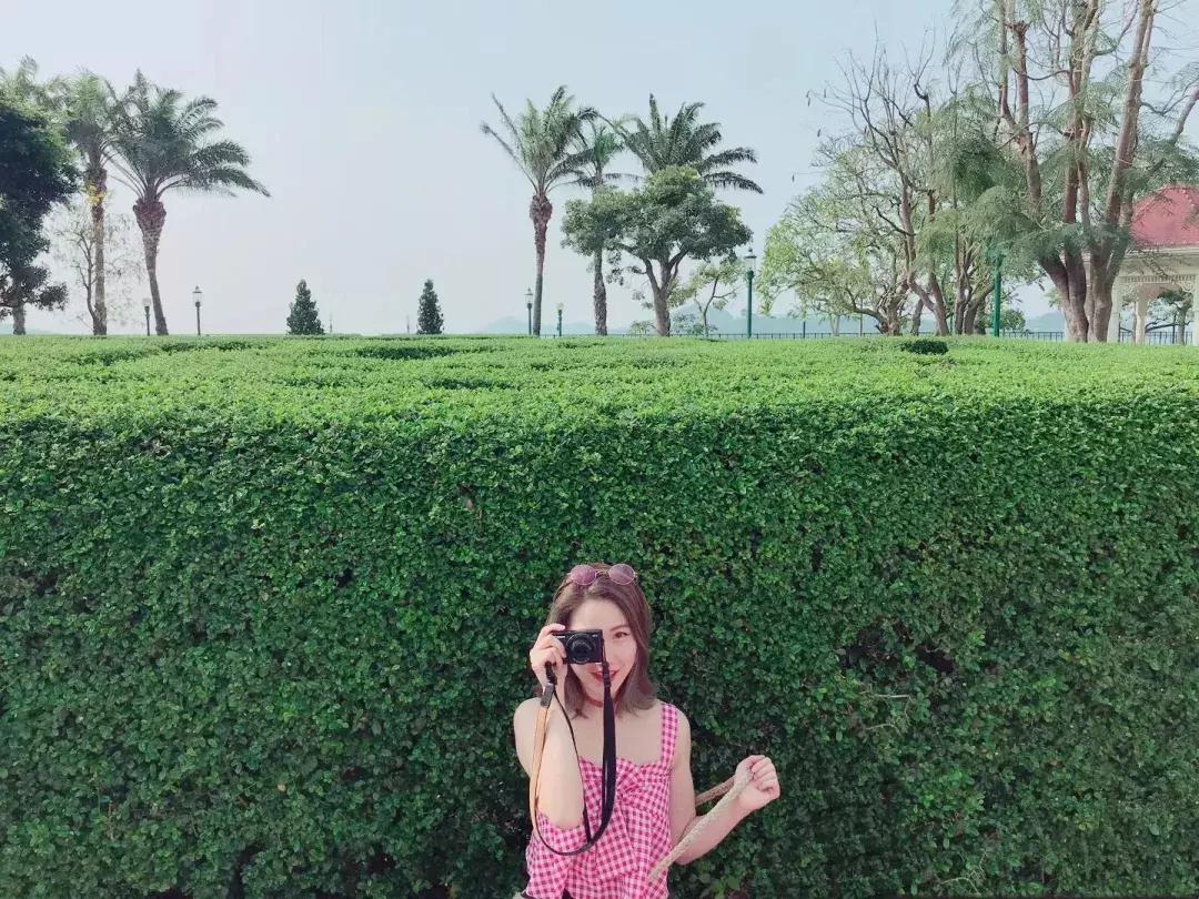 行李打包最省空间的方法,打包箱的收纳方法