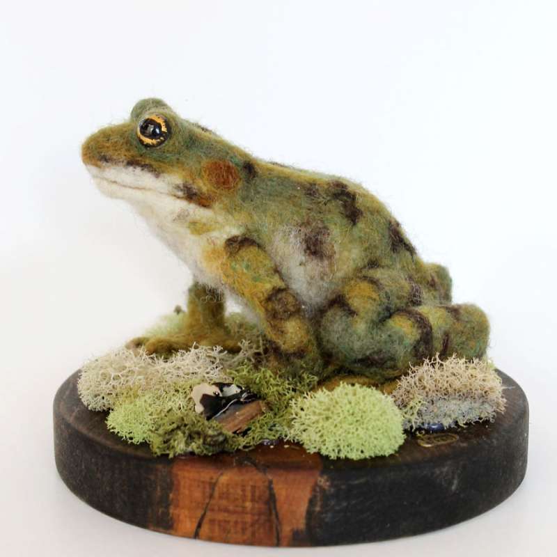 第一眼竟然以为它会动！26个好像有灵魂附体的拟真羊毛毡