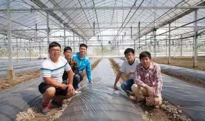 农业投资创业项目有哪些,农业创业项目经营模式