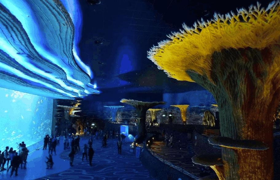 珠海长隆一日游攻略必去景点,珠海长隆一日游攻略最佳时间最新