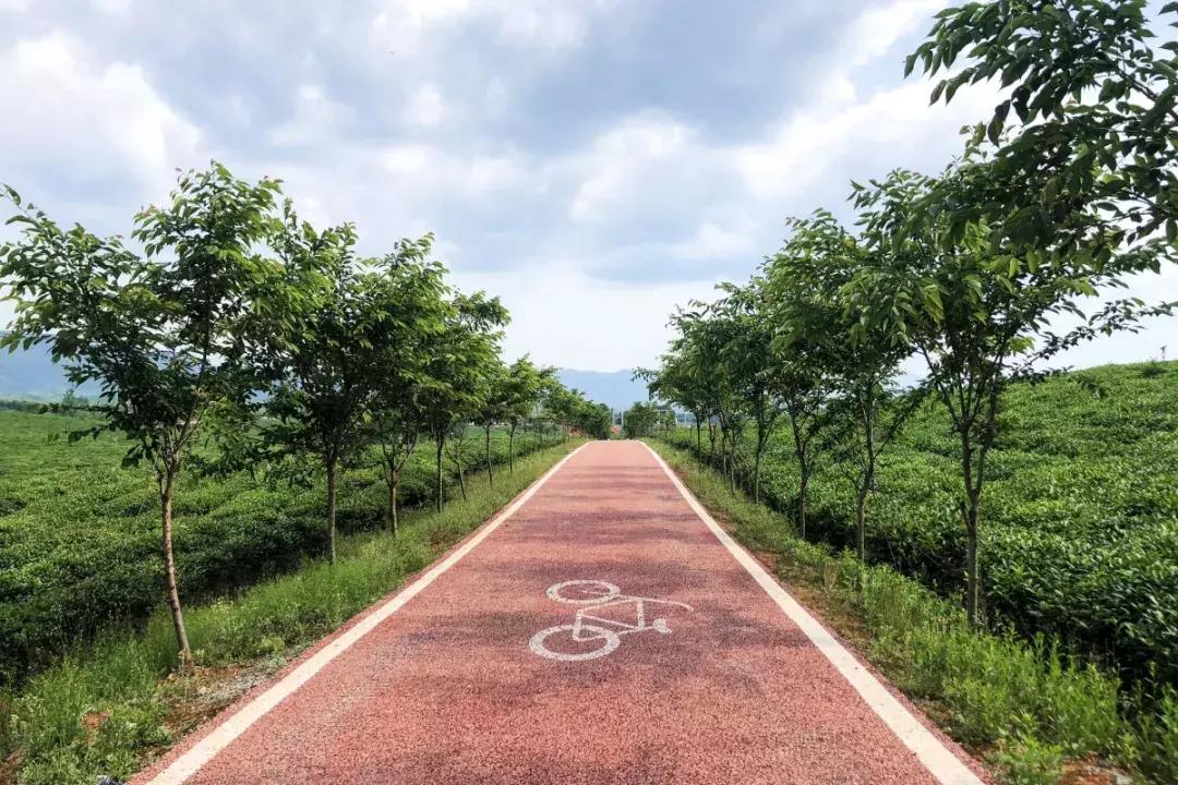 全球最大茶文化主题公园,赤壁青砖茶文化生态产业园