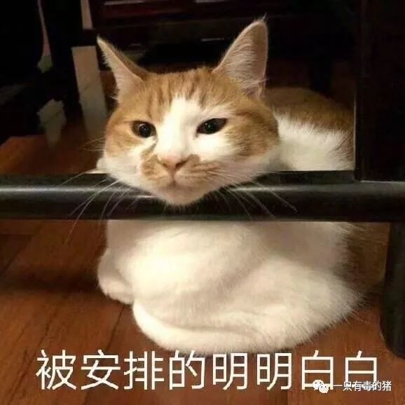 山寨版tfboys闯关,山寨版的tfboys