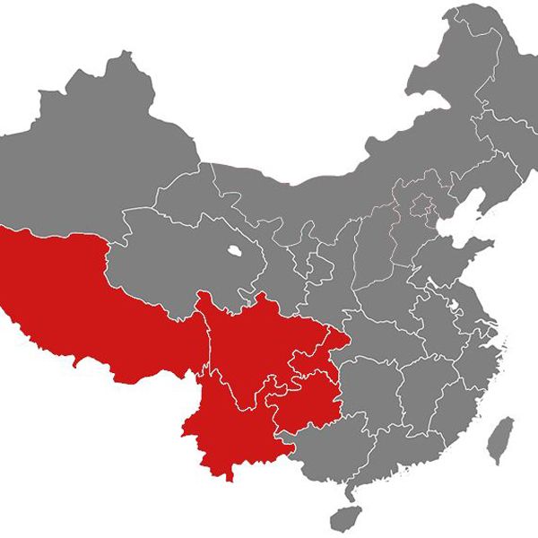 三棵树和立邦哪家涂料好,立邦新型涂料