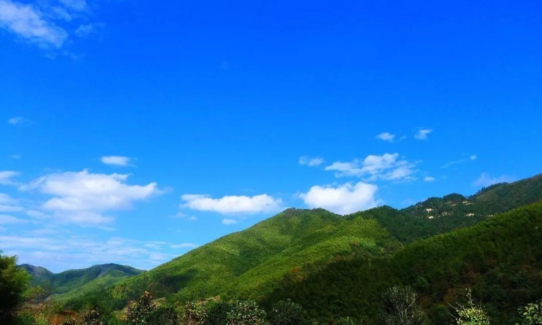 文化艺术报副刊|老家,那些土而生香的地名