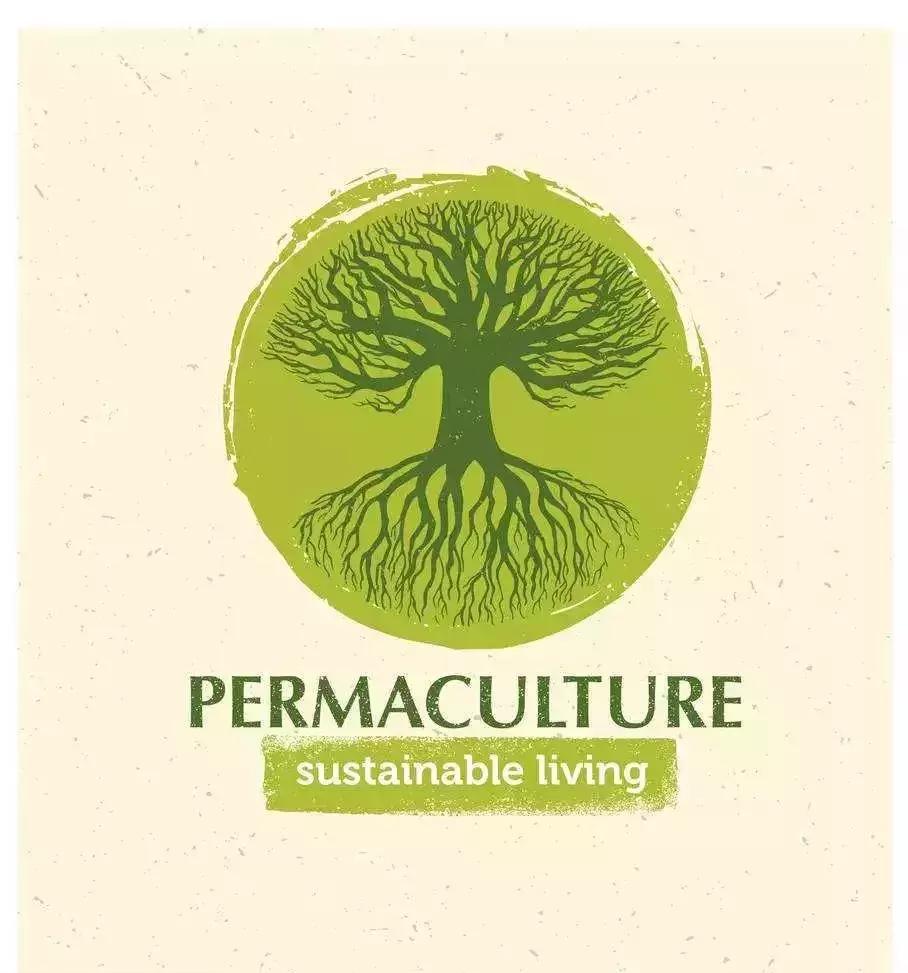 新雨自然学校·第一期Day1：快来建造属于自己的生态花园吧