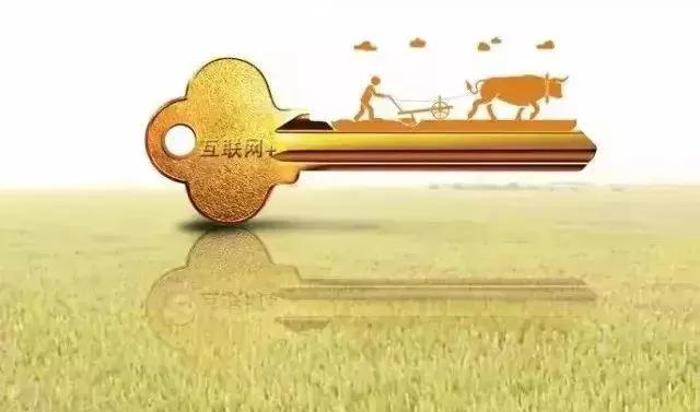 “互联网+农业”谁的荷尔蒙在飞？究竟是路，还是坑？