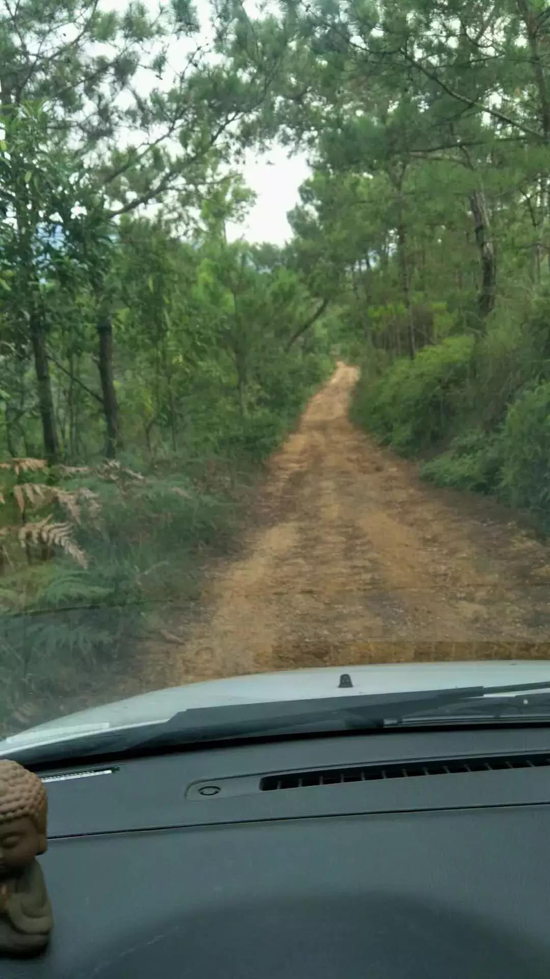 80后买车故事：36岁的强哥为什么买了辆二手铃木天语？