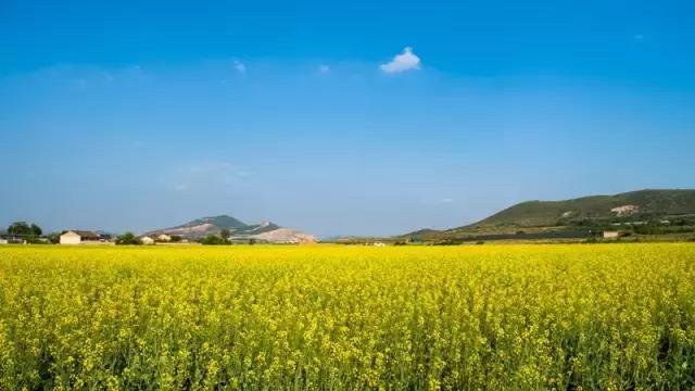 国庆去大连旅游攻略,国庆大连游玩攻略