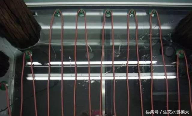 鱼缸加温有几种方法,鱼缸正确加温方法