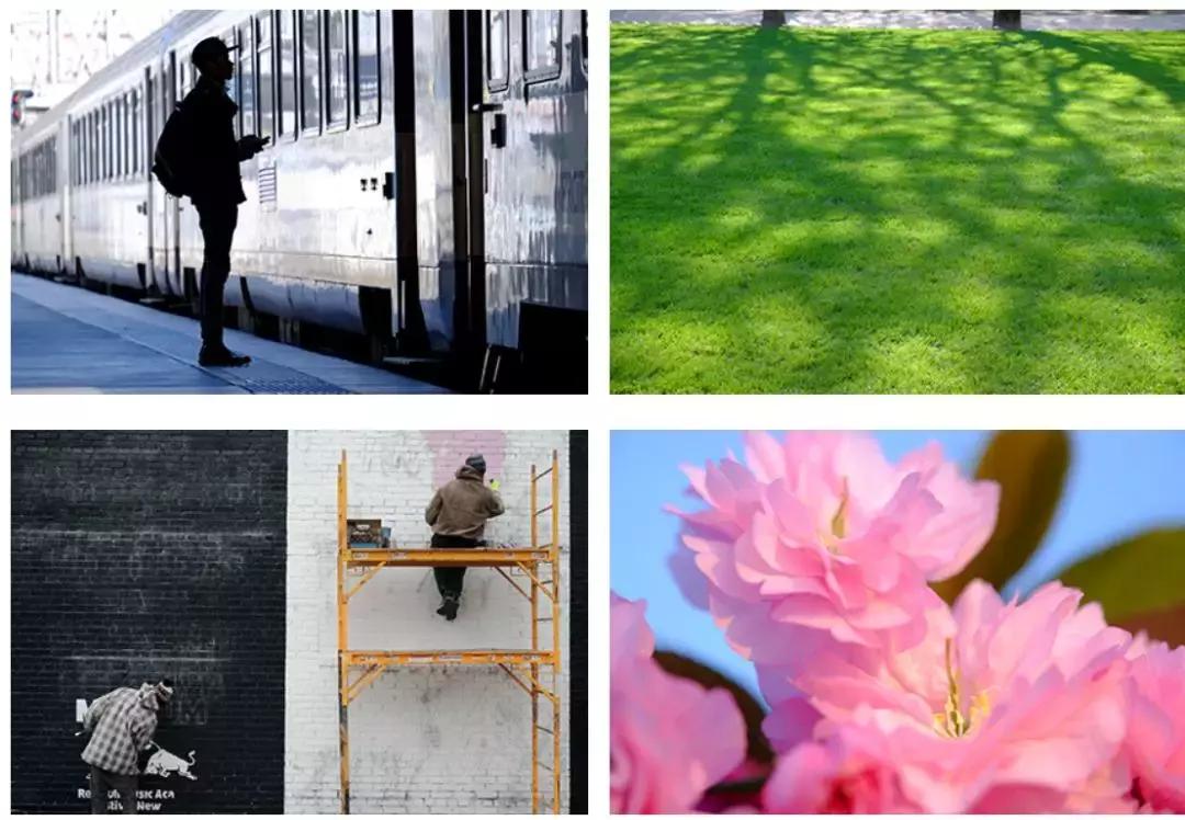 秋天出游相机推荐,适合方便旅游拍照的相机推荐