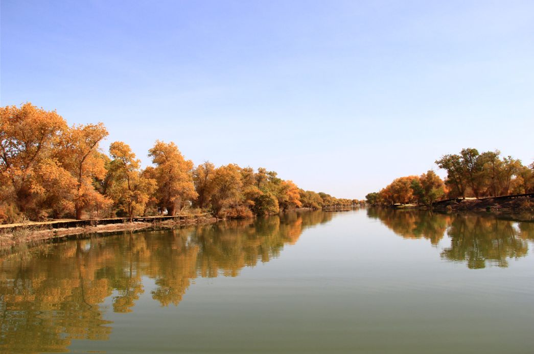 喀什胡杨节自驾游攻略,喀什胡杨节