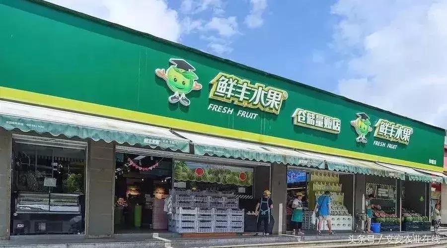 鲜丰水果创始人韩树人老家,鲜丰水果创始人韩树人哪里人