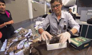 中国大妈出国探望儿子，行李箱被打开的那一刻，所有人都惊呆了！