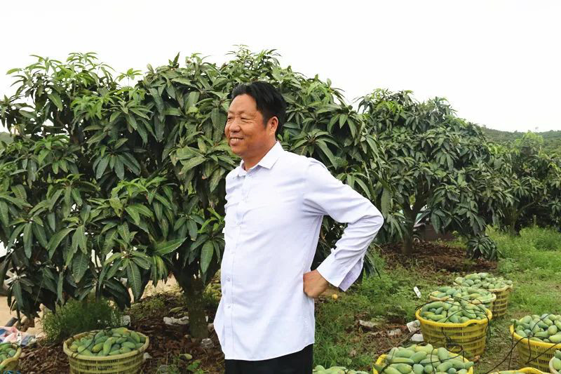 中国农民丰收节与三农建设,农民丰收节重农强农