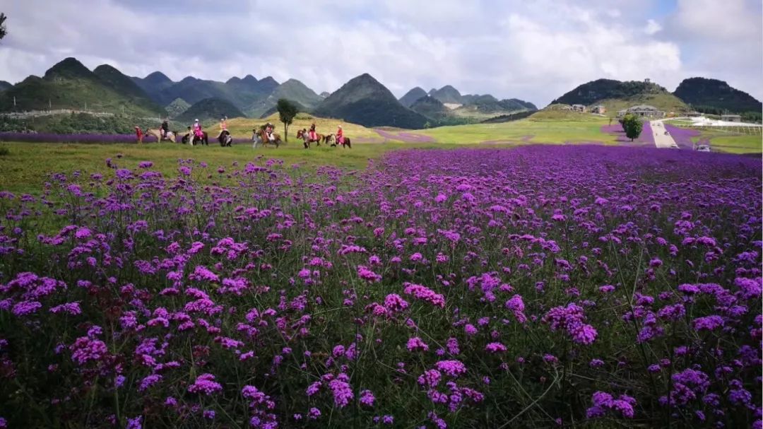 国庆自驾游贵州六盘水,出游贵州推荐