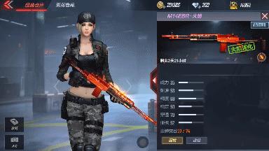 紫色品质却能烧毁一切的M14EBR-火焰！