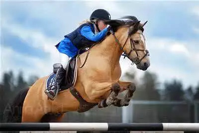 「竞赛通知」富国高银杯2018 FFE PONY挑战赛