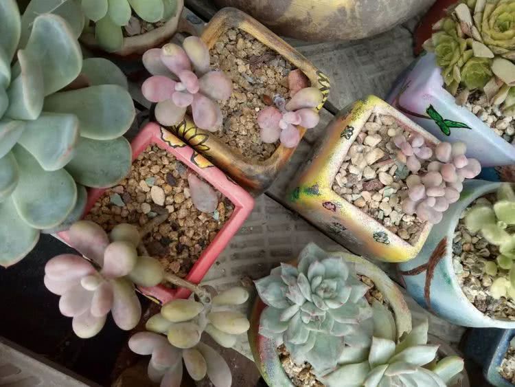 命运多舛，痴迷淡然，肉坚强们逆袭在秋天！