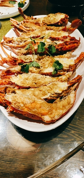 vivonex旗舰版竖屏变横屏,vivonex3s突破熄屏开不了机