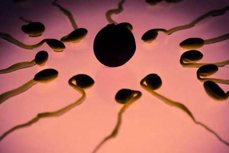 房事后多余的精子去哪里，会不会对女性造成伤害