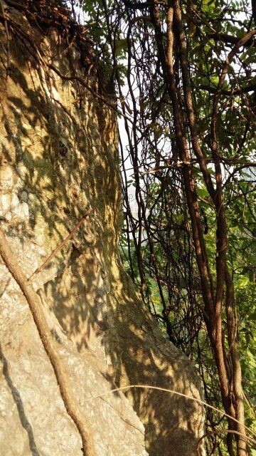 黄石免费户外游,黄石周边游徒步登山