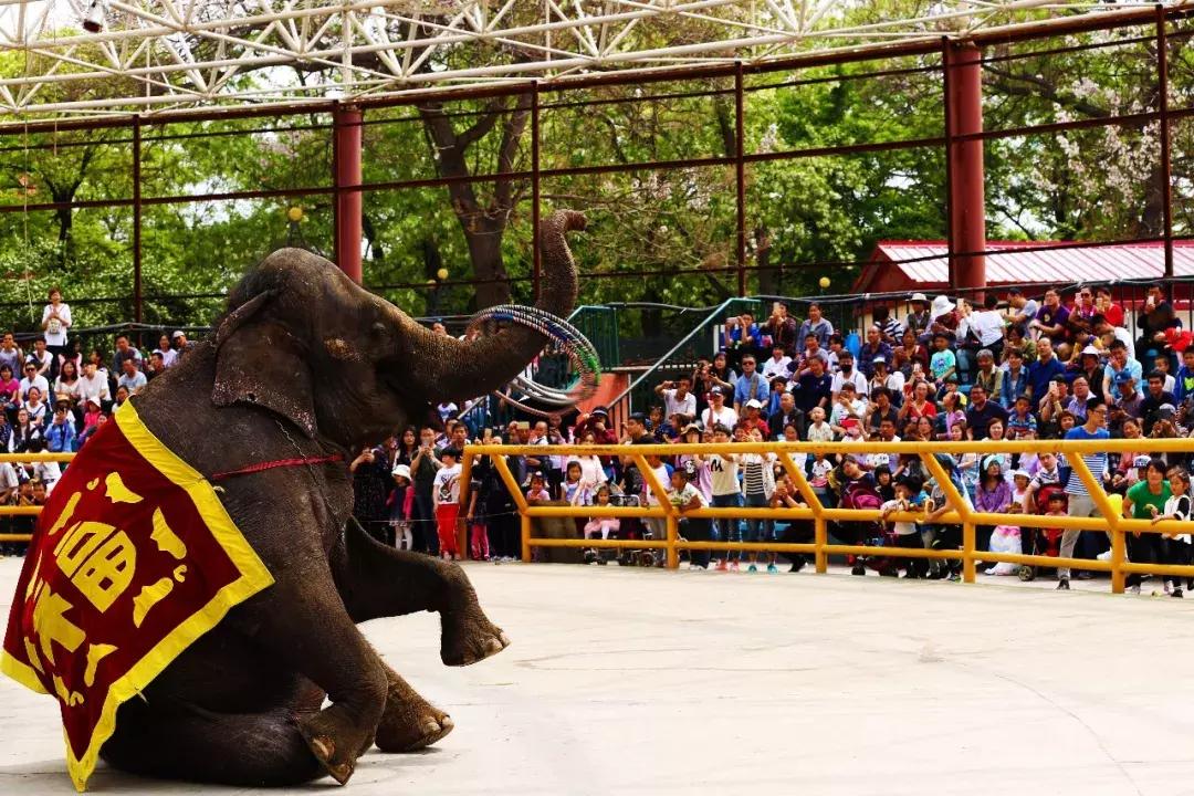 「FENG爆」“美分美妙玩出彩”，这个黄金周世界公园好戏连台不！间！断！