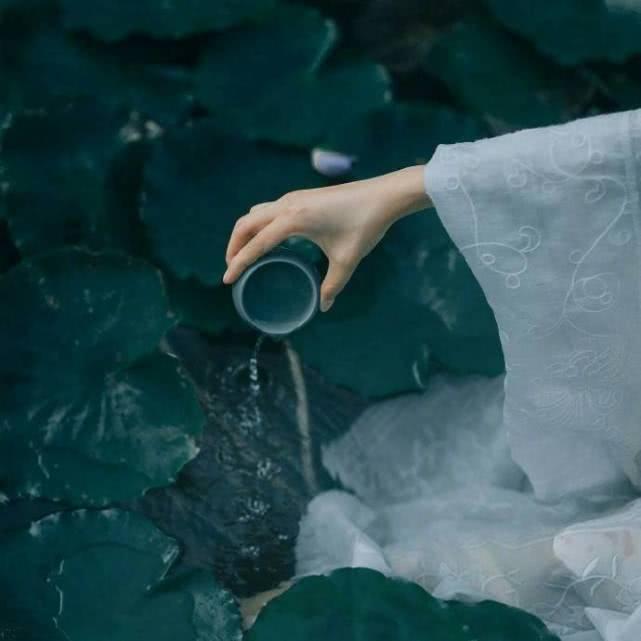 适合表白的诗句山有木兮,山有木兮诗句优雅的表达想你了