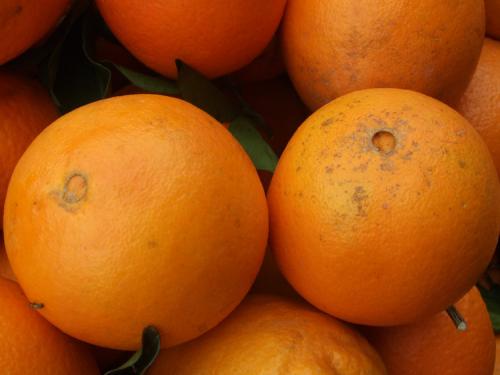 哪种橙营养价值好,红橙与黄橙的营养区别