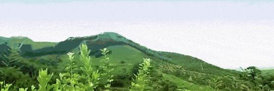 艾草自发热护膝保暖袜,艾草养生抗菌袜