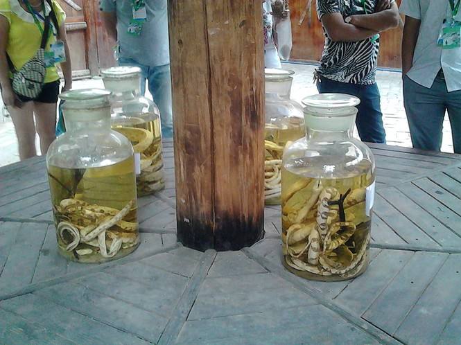 诡异让人毛骨悚然的电影情节,十部顶级邪术电影