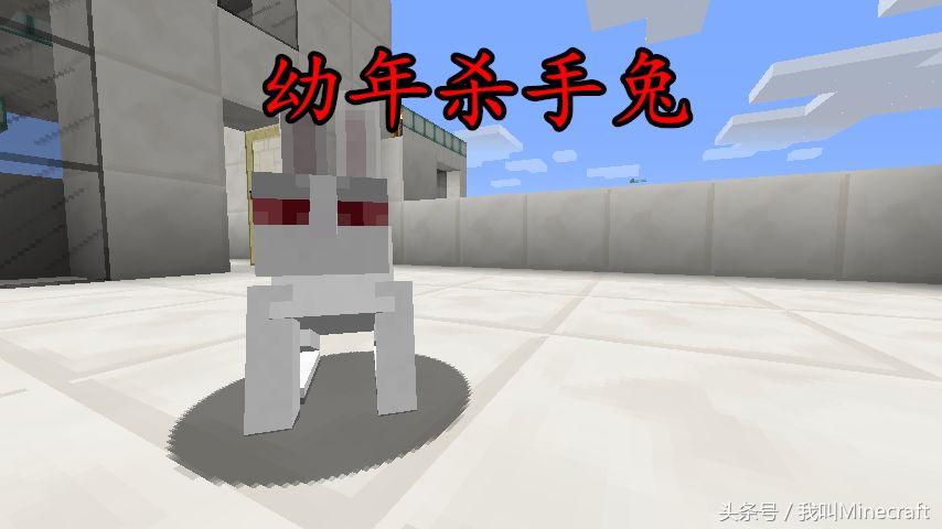 我的世界mc中真的有怪物吗,我的世界兔子都有什么秘密