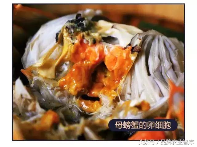 大闸蟹基础知识,大闸蟹科普知识