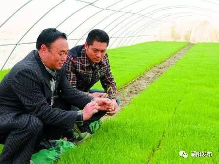 农民传承家风,这个农民不简单