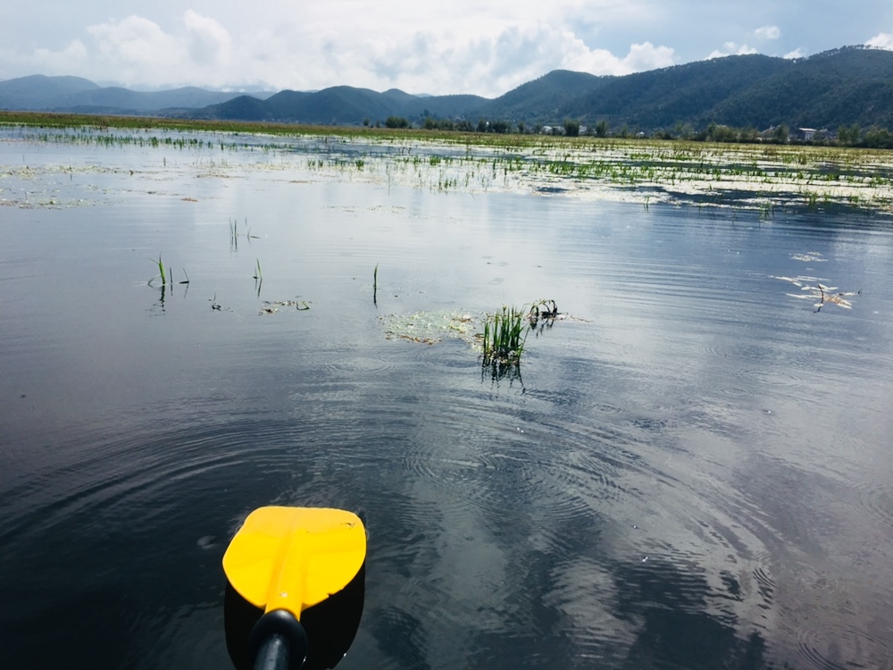 丽江旅游拉市海攻略,丽江拉市海怎么样值得旅游吗