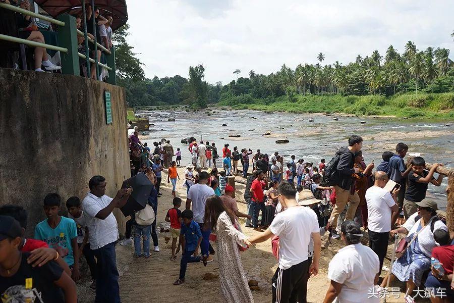 开学“B计划”之，印象斯里兰卡（一）！