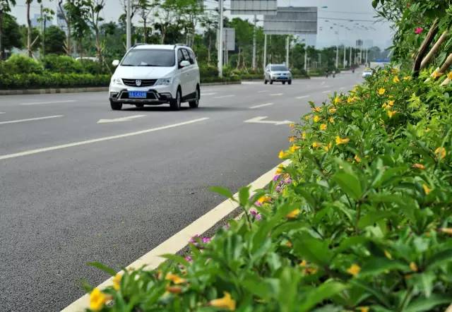 江南区沙井街道,江南沙井