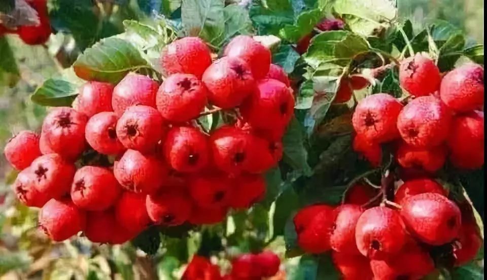 万仙山郭亮村2018门票,不去郭亮村去万仙山哪好玩