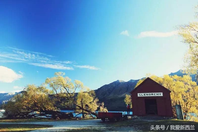 来新西兰以后才发现的变化,新西兰是不是最美丽的地方