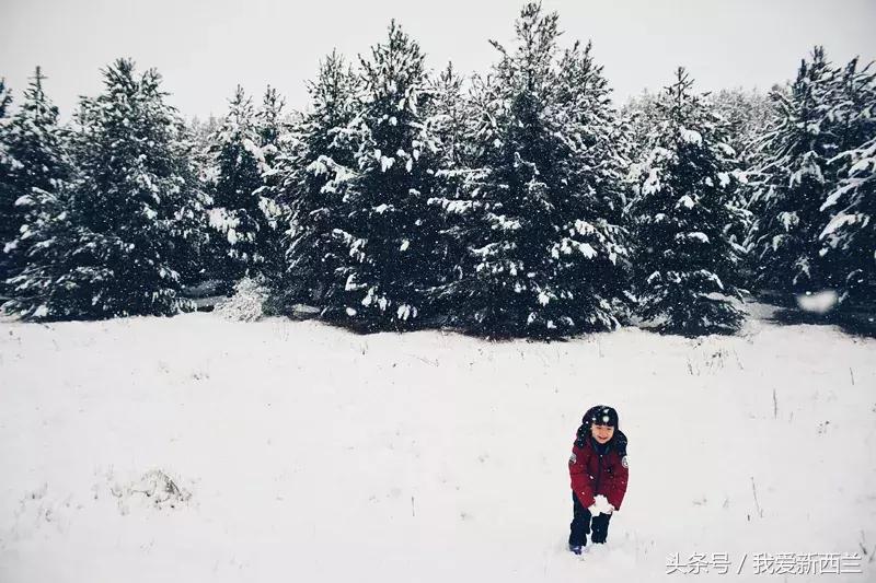 来新西兰以后才发现的变化,新西兰是不是最美丽的地方