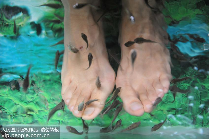 足贴可以排脂肪吗,足贴真的能减肥吗