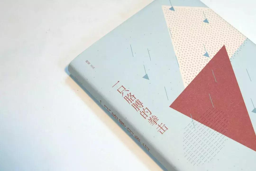 视写作为“缝补”，毕飞宇频频为她点赞